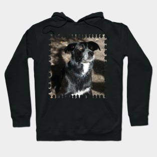 Walk in the Park Hoodie